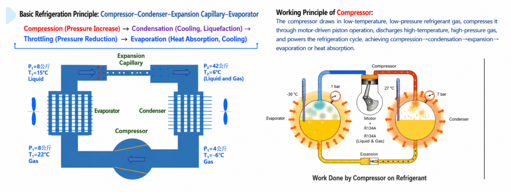Illustration of the basic refrigeration cycle showing compressor, condenser, expansion valve, and evaporator operation